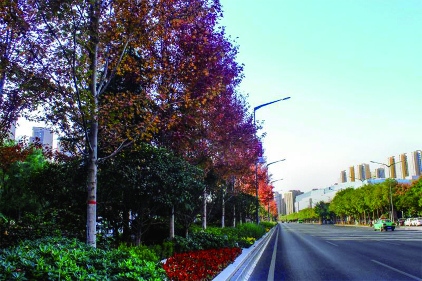 ����bwin��Ӯ