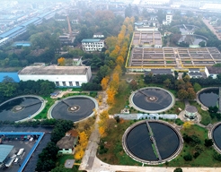 ������֣�Ҵ���ˮ������