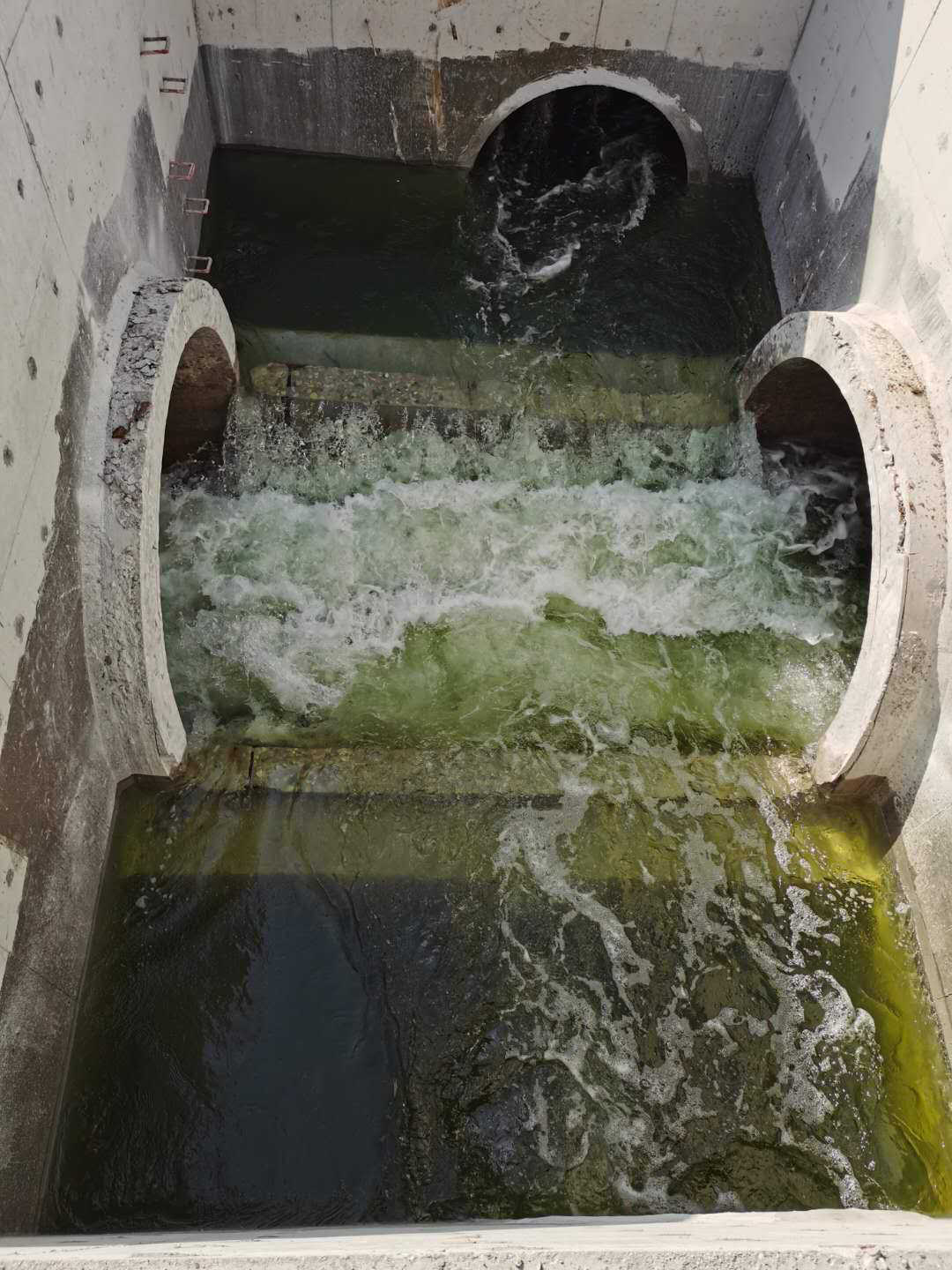 bwin必赢 bwin必赢