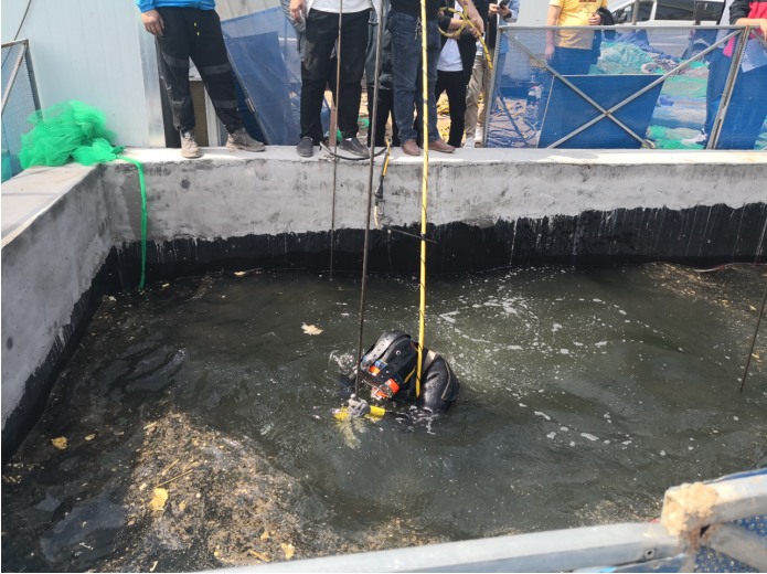 1622604639103785.png 1.png